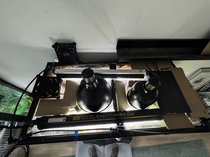 Terrarium lighting rig seen from above