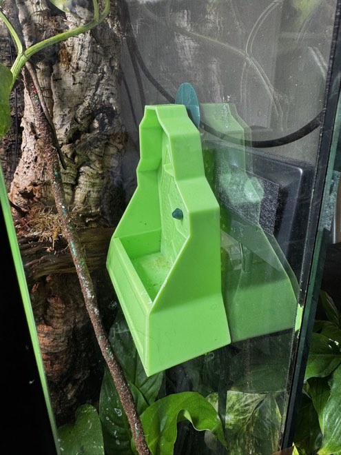 Green live-feeder ledge stuck to the glass