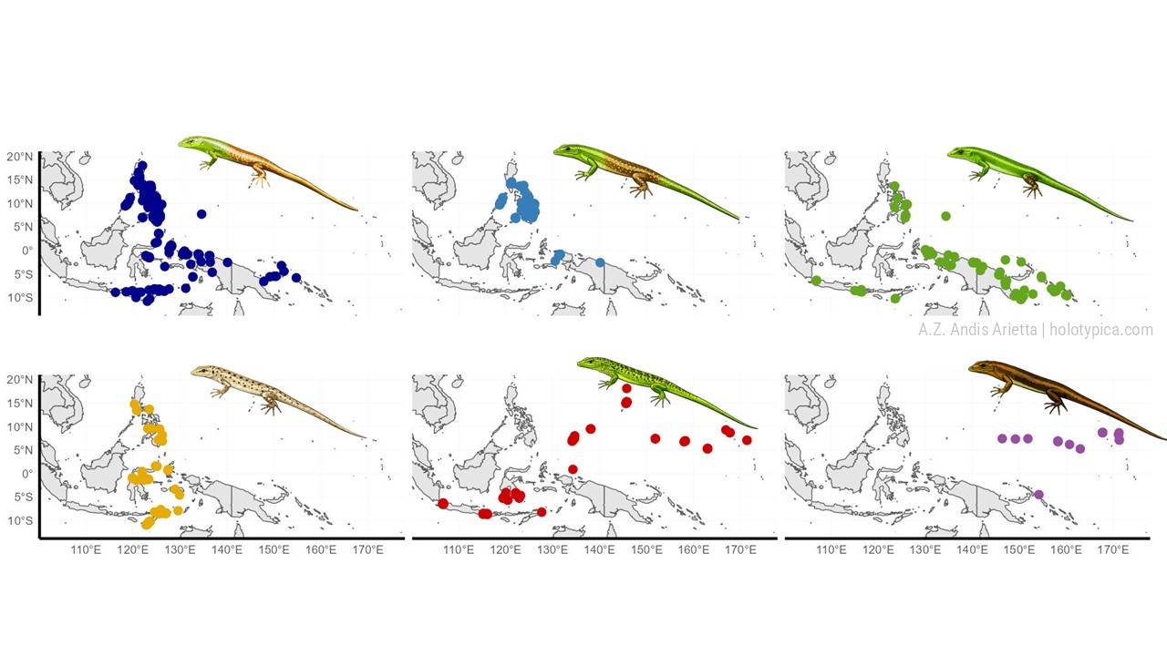 Six small maps, one per morph, showing the separate geographic range of each phenotype